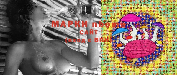 гидра Аркадак