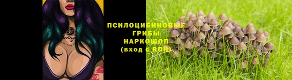 твердый Арсеньев