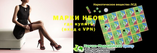 гидра Аркадак