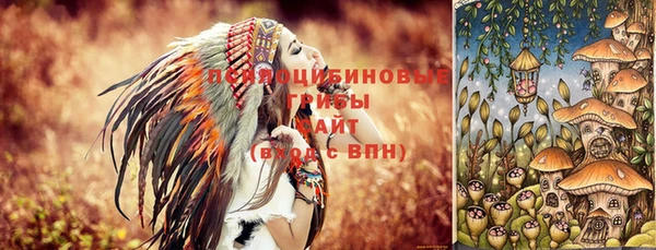 твердый Арсеньев