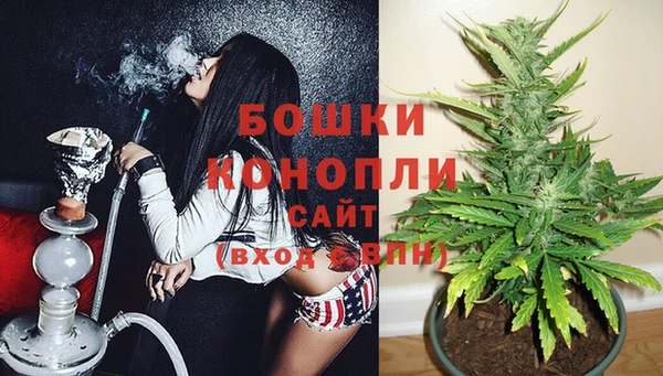 гидра Аркадак