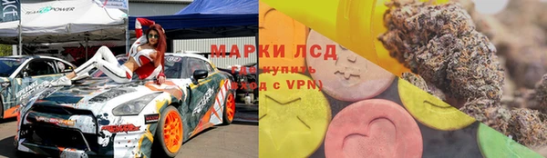 гидра Аркадак
